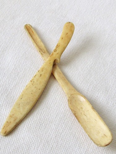 19th century bovine - bovine, bone